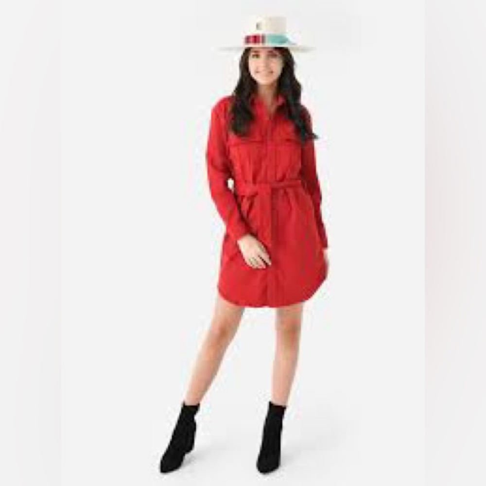 Mother the Cadet Haute shirt dress
